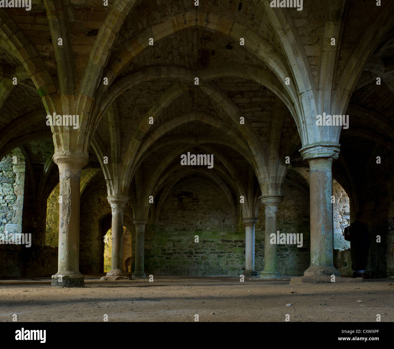 Les vestiges de l'Undercroft à l'abbaye de Battle à East Sussex, au Royaume-Uni. Banque D'Images