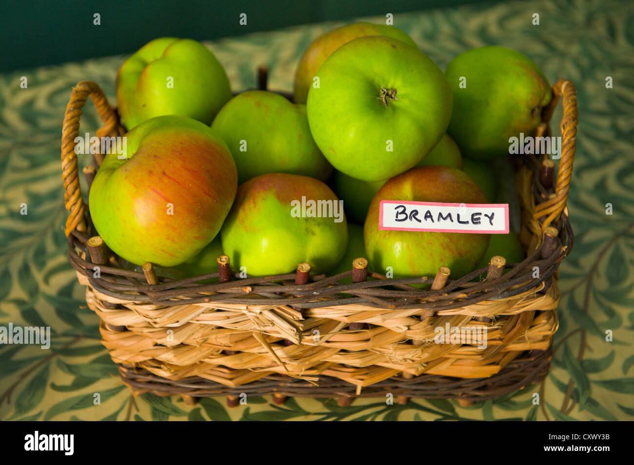 Pommes Bramley dans panier de l'afficheur pendant le Big Apple à jour de Marcle Herefordshire Angleterre UK Banque D'Images