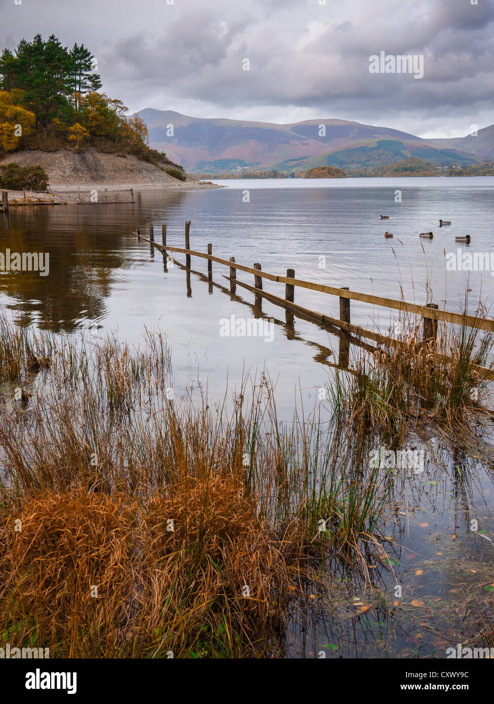Derwent Water et Skiddaw dans le parc national Lake District, Keswic, Cumbria, Angleterre. Banque D'Images