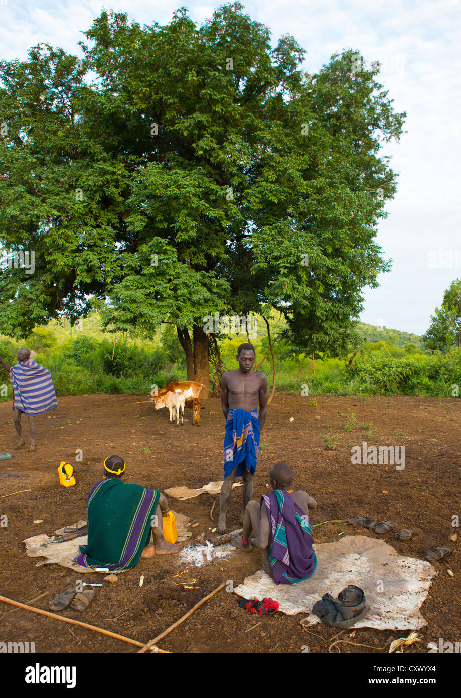Et les hommes de la tribu Bodi leur bétail, Hana Mursi, vallée de l'Omo, Ethiopie Banque D'Images