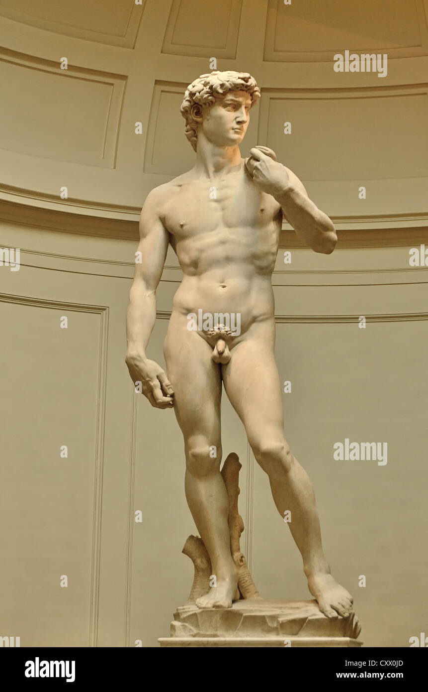 David est un chef-d'œuvre de la Renaissance sculpture réalisée entre 1501 et 1504, par l'artiste italien Michelangelo. Banque D'Images