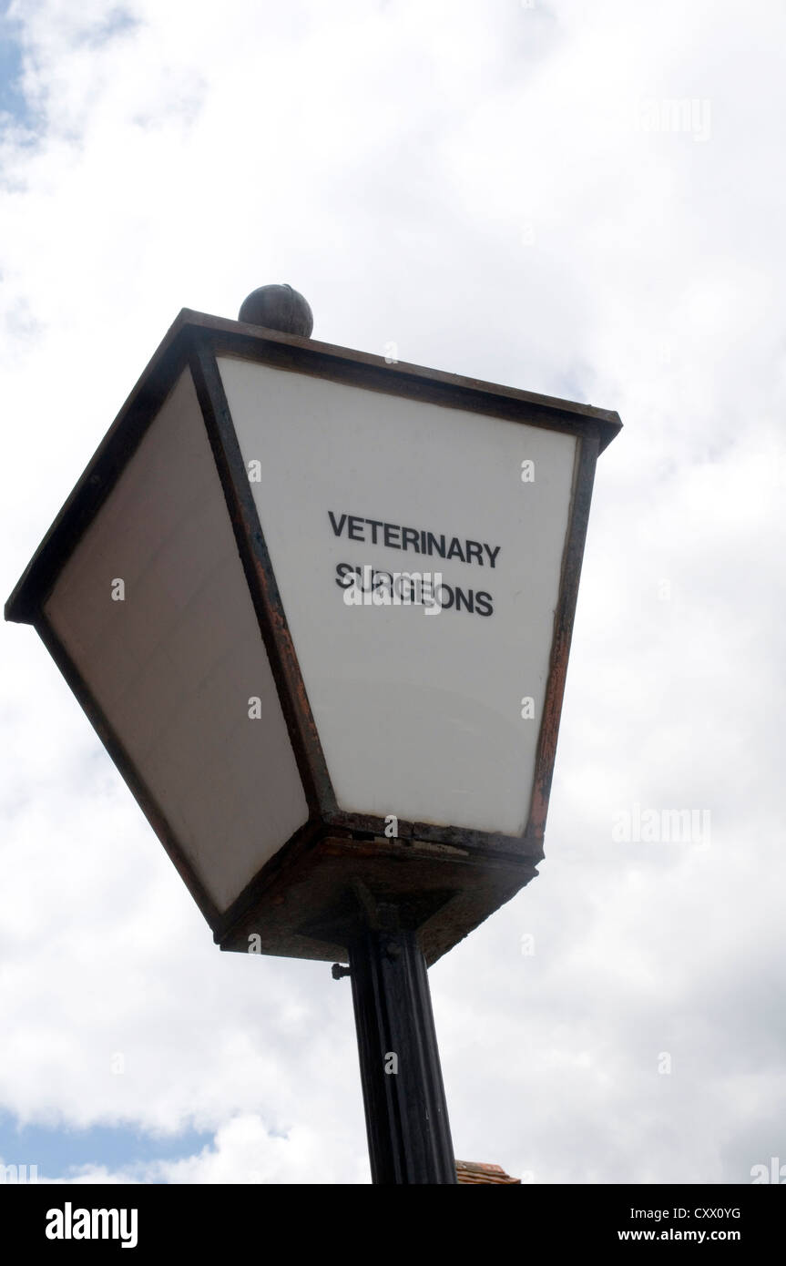 Vet vétérinaire vétérinaires Santé animale Bien-être animal chirurgie vétérinaire chirurgien chirurgiens vétérinaires animaux Banque D'Images