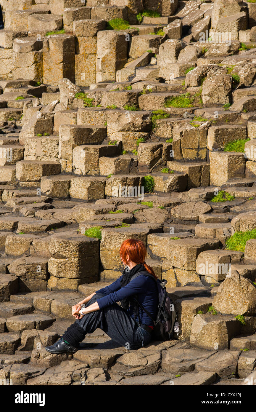 Le site du patrimoine mondial de l'UNESCO, Giants Causeway, North Coast, County Antrim, Irlande du Nord Banque D'Images