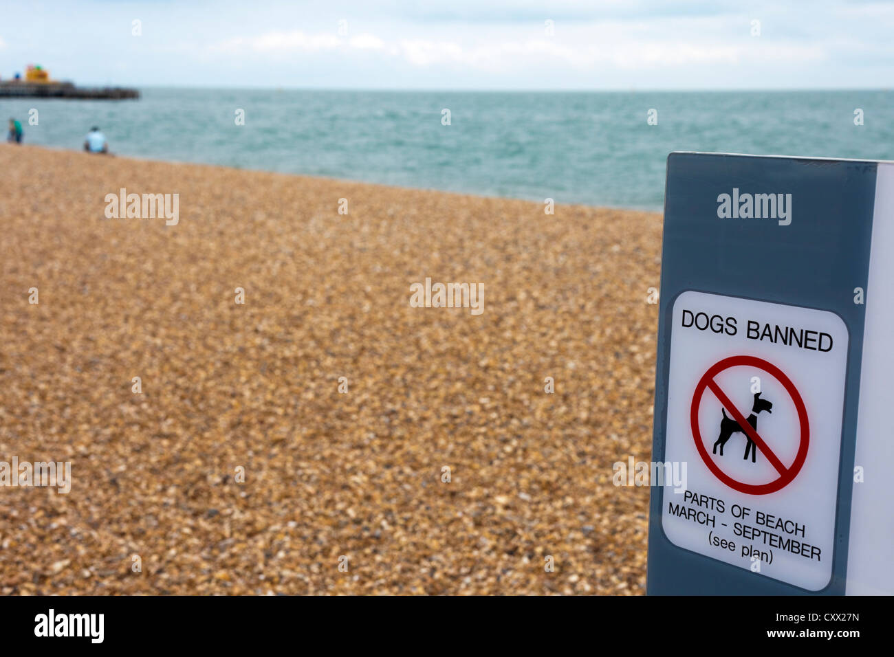 Signer l'interdiction des chiens de la plage au printemps et l'été - Pas de chien signe sur la plage de Southsea, England, UK Banque D'Images