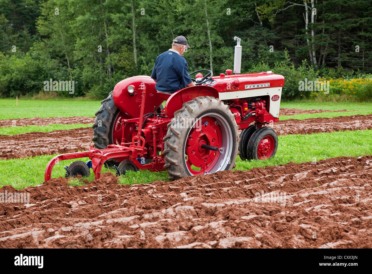 Un concurrent sur un ancien tracteur laboure dans le Provincial de Labour & foire agricole au Dundas, l'Île du Prince Édouard. Banque D'Images