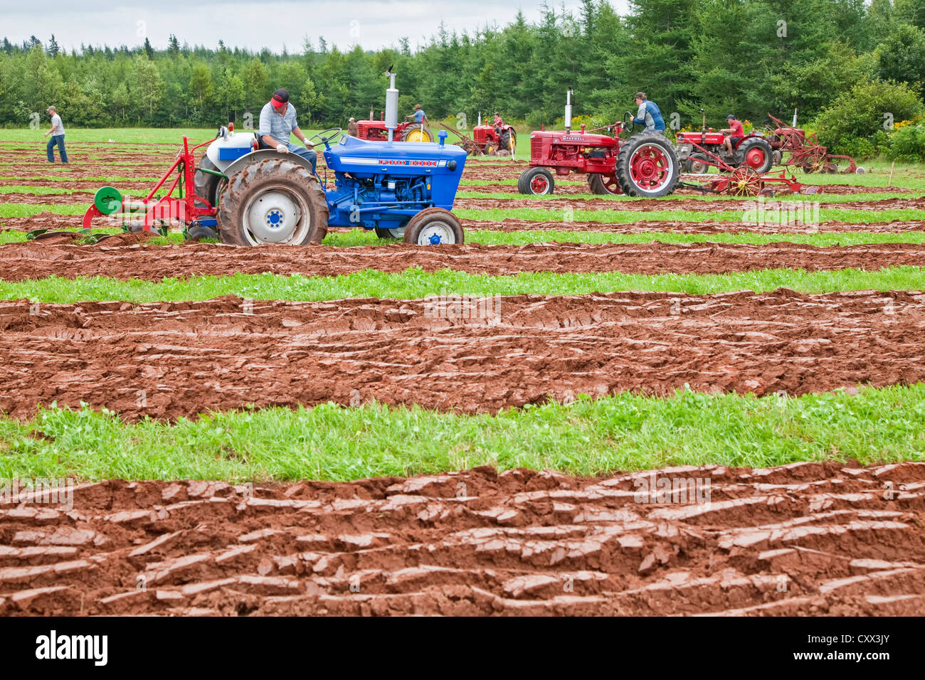 Un concurrent sur un ancien tracteur laboure dans le Provincial de Labour & foire agricole au Dundas, l'Île du Prince Édouard. Banque D'Images