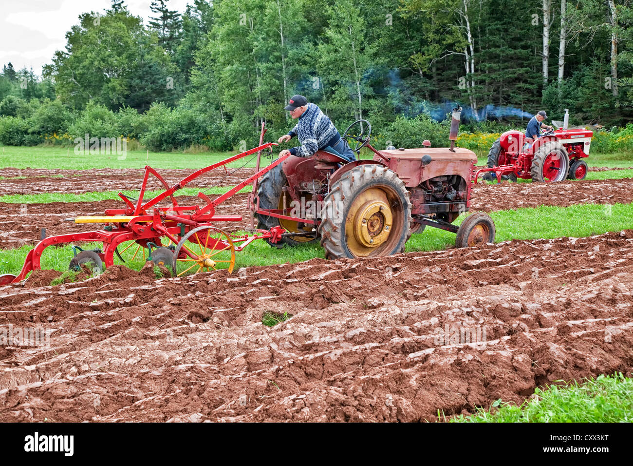 Un concurrent sur un ancien tracteur laboure dans le Provincial de Labour & foire agricole au Dundas, l'Île du Prince Édouard. Banque D'Images