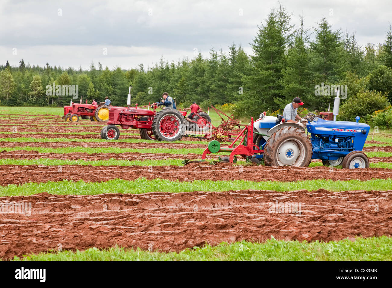 Un concurrent sur un ancien tracteur laboure dans le Provincial de Labour & foire agricole au Dundas, l'Île du Prince Édouard. Banque D'Images
