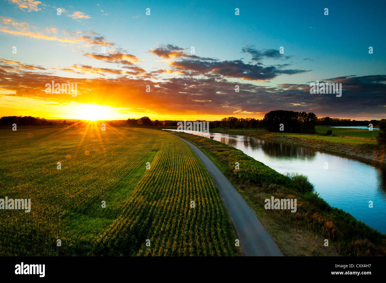 Coucher de soleil dans la région de la rivière Muese à Limburg, Pays-Bas Banque D'Images