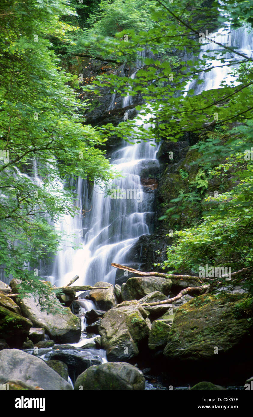 Torc Waterfall sur la rivière Owengarriff près de Killarney Co Kerry Irlande Banque D'Images