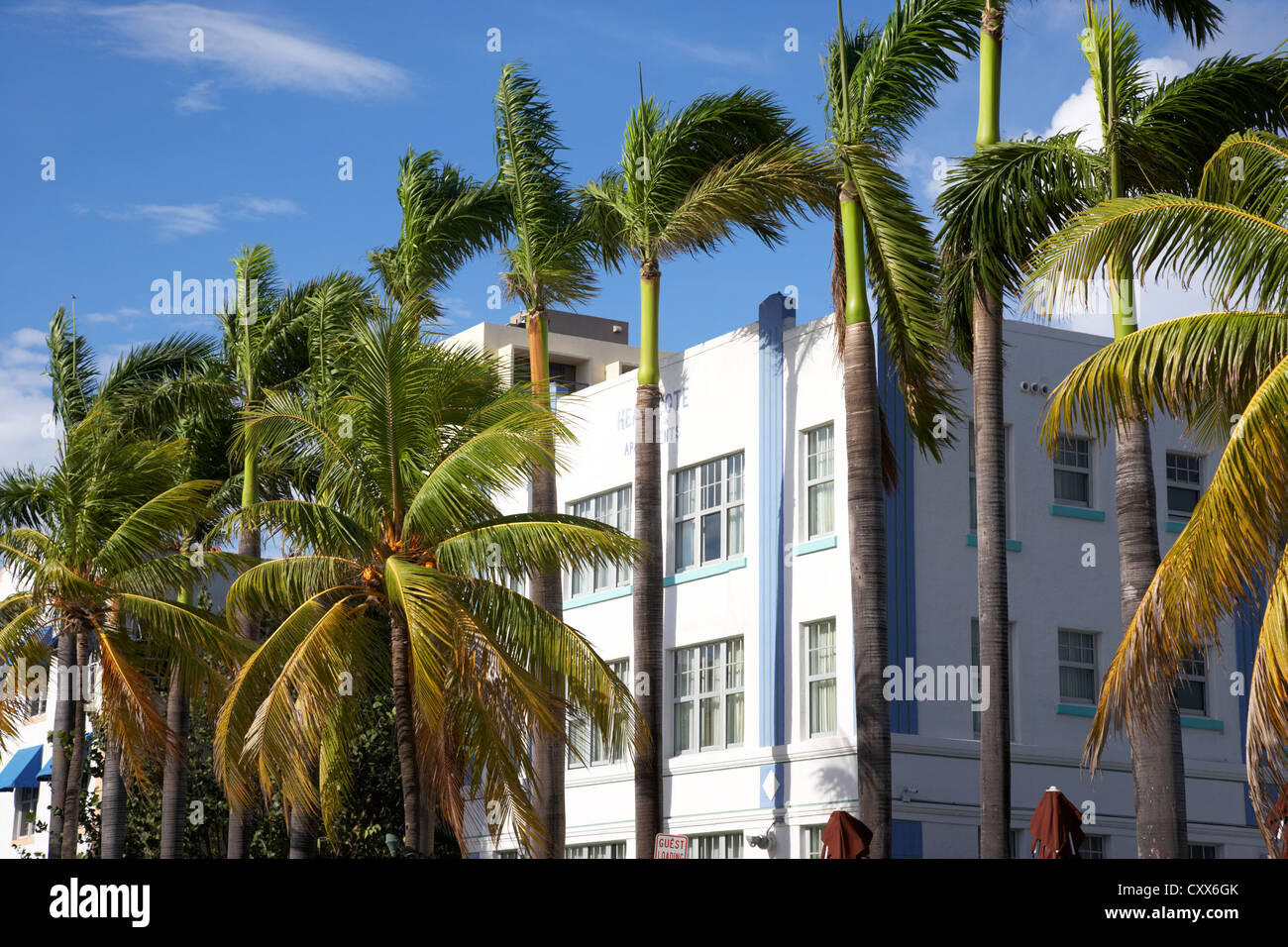 Palmiers dans le quartier historique art déco Ocean drive Miami South beach floride usa Banque D'Images