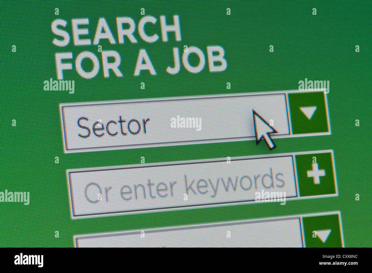Close up d'un site fictif invitant les utilisateurs à la recherche d'un emploi après avoir fourni des informations Banque D'Images