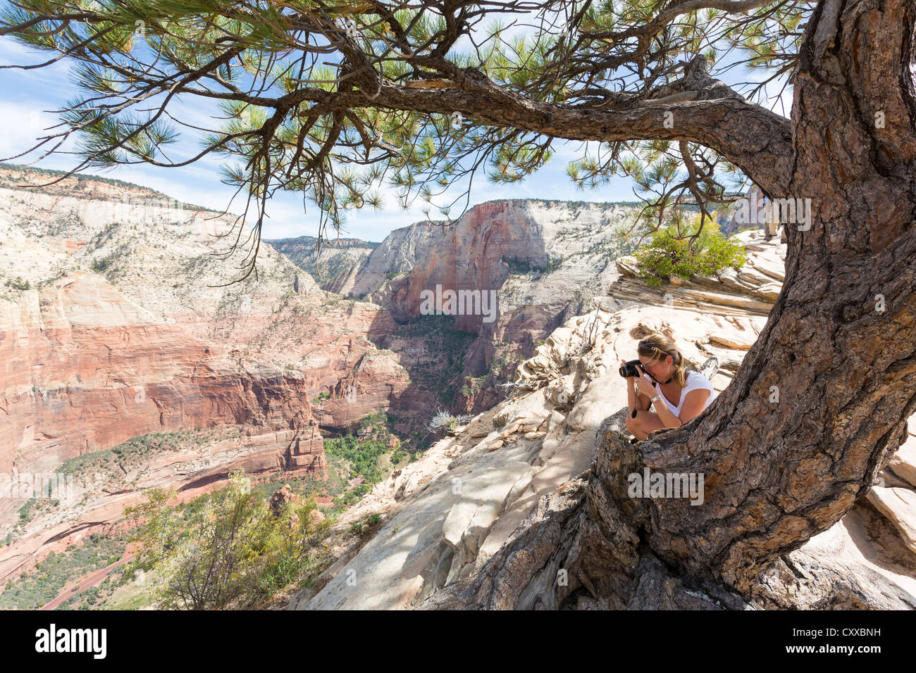 Femme photographier un décor d'un Canyon Zion d'un haut de Angels Landing at Zion National Park Banque D'Images
