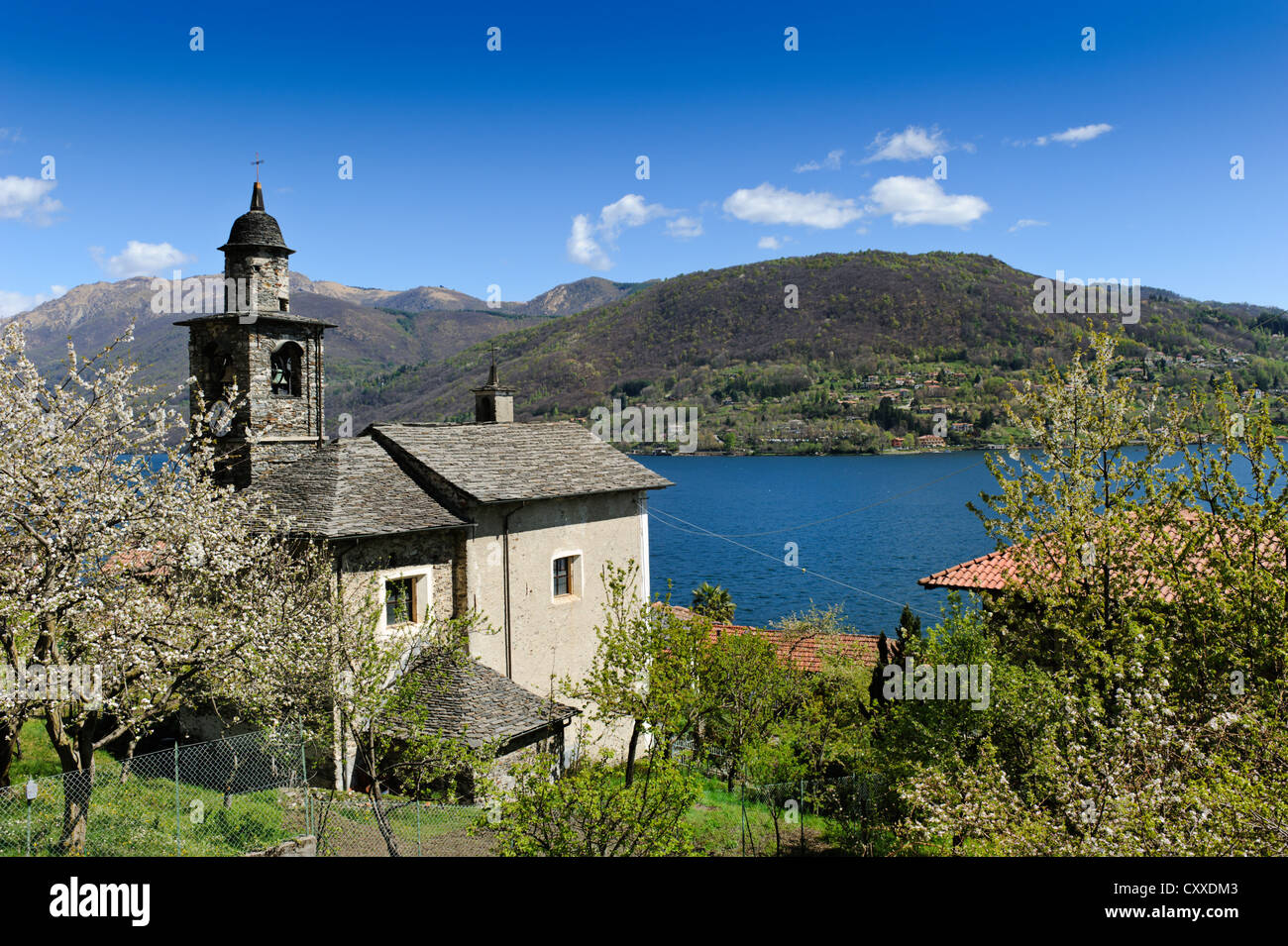 L'église avec un blossoming cherry street au lago d'Orta, lac d'Orta, Ronco, Piémont, Italie, europe, publicground Banque D'Images