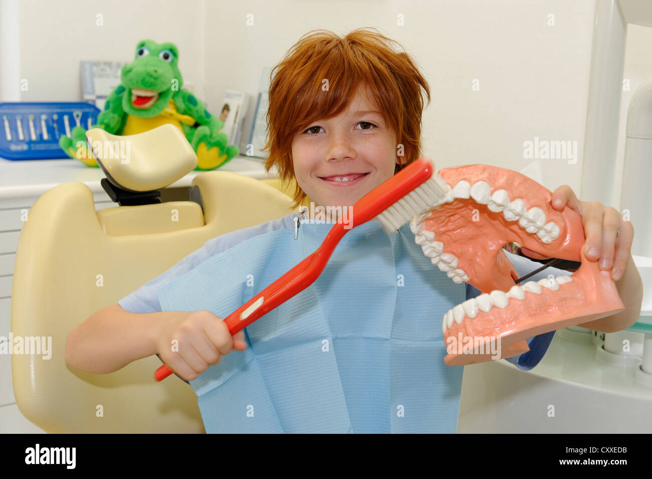 Garçon chez le dentiste, de recevoir des instructions pour des soins dentaires sur un modèle, l'hygiène dentaire, les soins dentaires, visite dentaire Banque D'Images