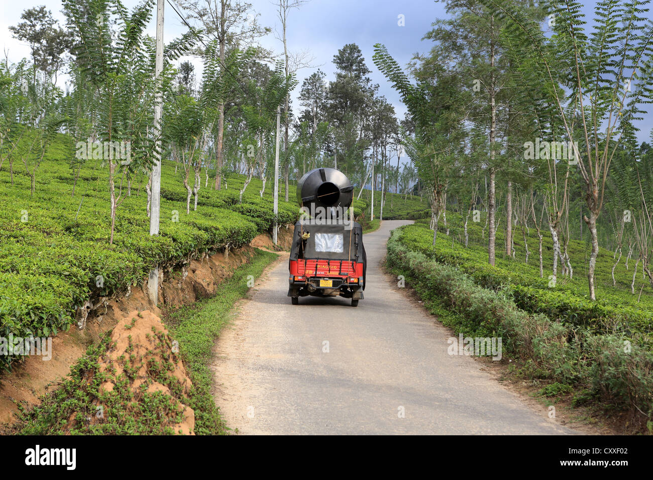 Un Tuktuk la conduite sur route à travers de thé près de Ella dans les hautes terres du Sri Lanka. Banque D'Images