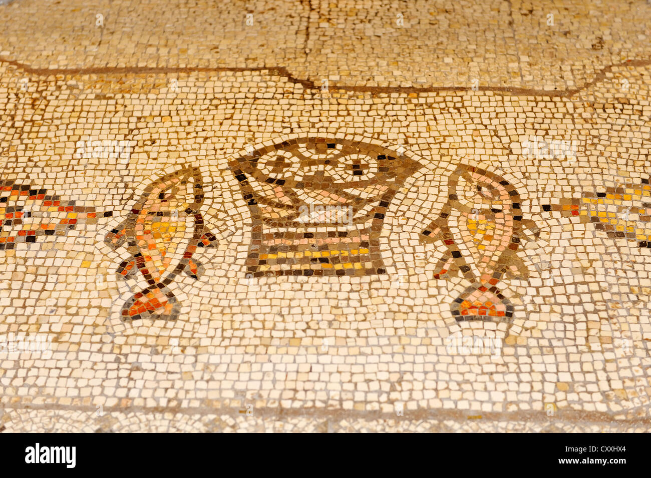 Mosaïque, 6e siècle, l'autel, du poisson et du pain, de la Multiplication, église, Tabgha, au bord de la mer de Galilée Banque D'Images