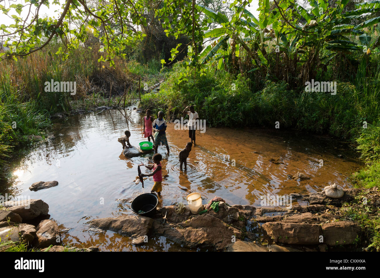 Printemps de l'eau utilisée pour les cultures de légumes. Mpika. La Zambie Banque D'Images