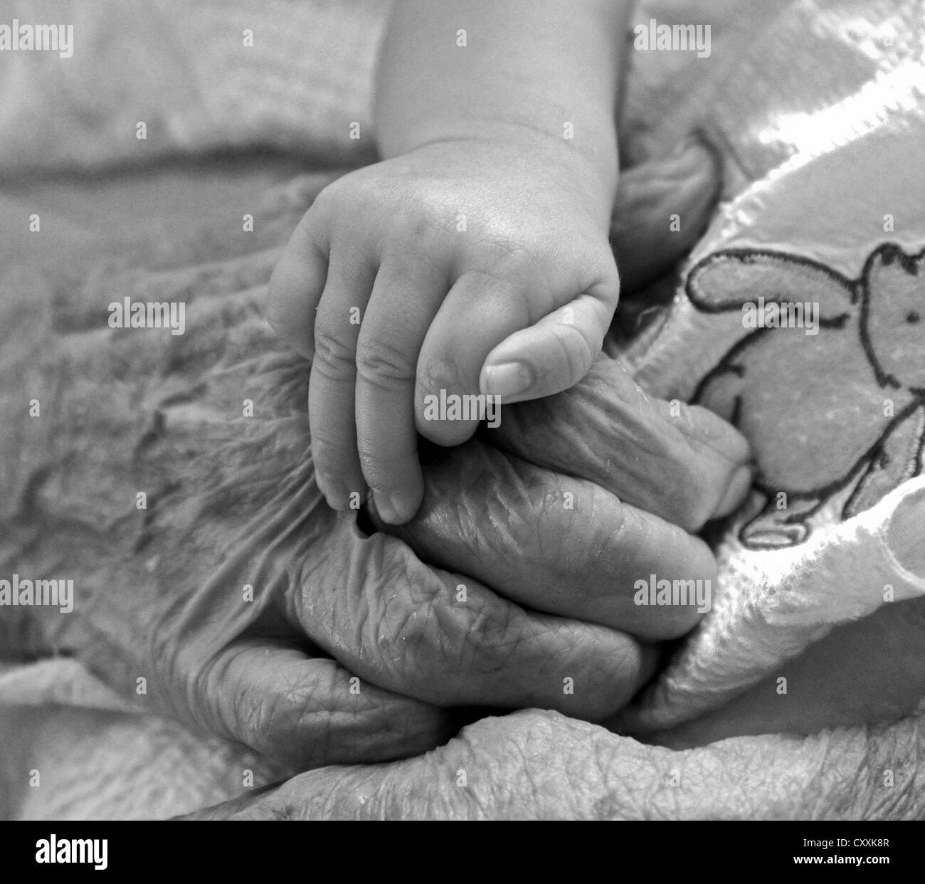 Close up de la main d'un bébé et son arrière grand-mère. Banque D'Images