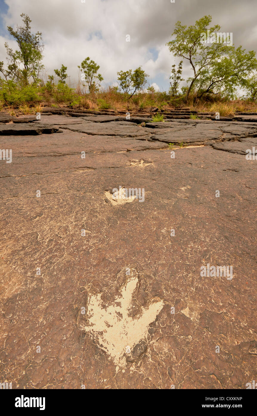 Empreintes fossilisées d'un Tyrannosaurus rex près du village de Mananga, Cameroun, Afrique centrale, Afrique Banque D'Images