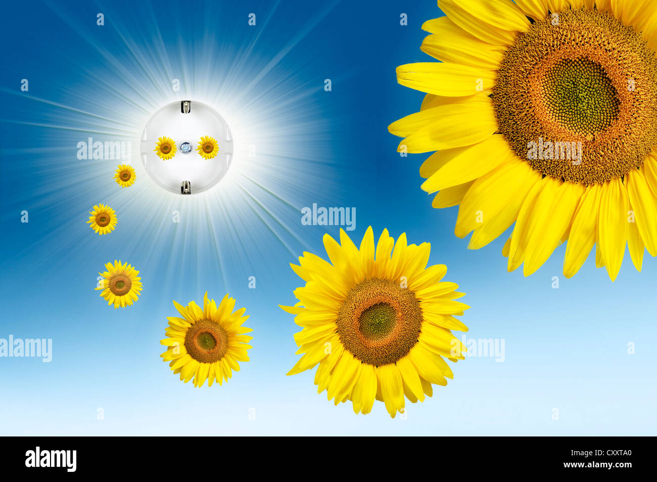 Image symbolique de l'énergie solaire, fleurs soleil battant d'une prise électrique avec du soleil dans le ciel Banque D'Images