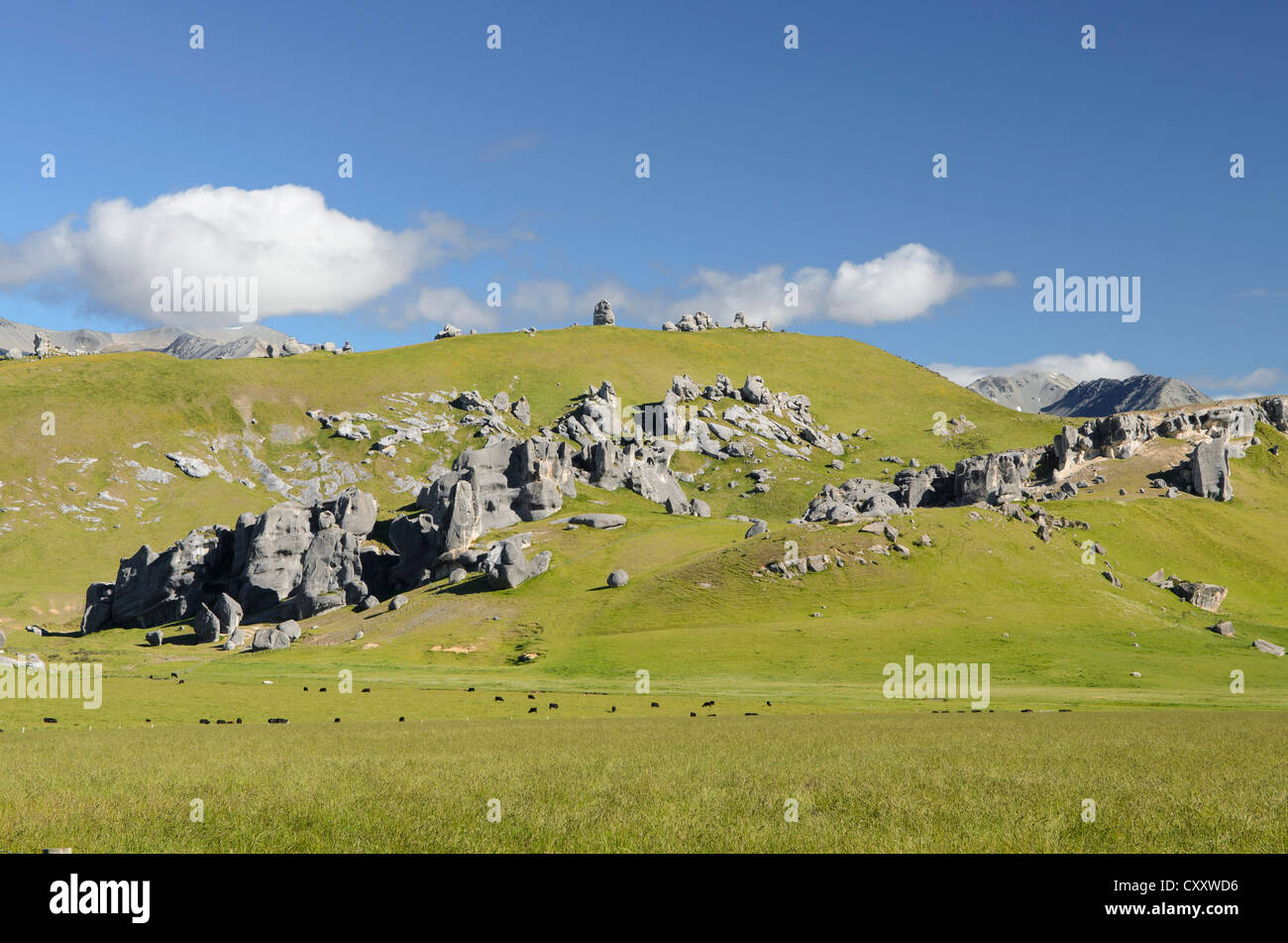 Des formations de roche calcaire sur la colline du Château, île du Sud, Nouvelle-Zélande, Océanie Banque D'Images
