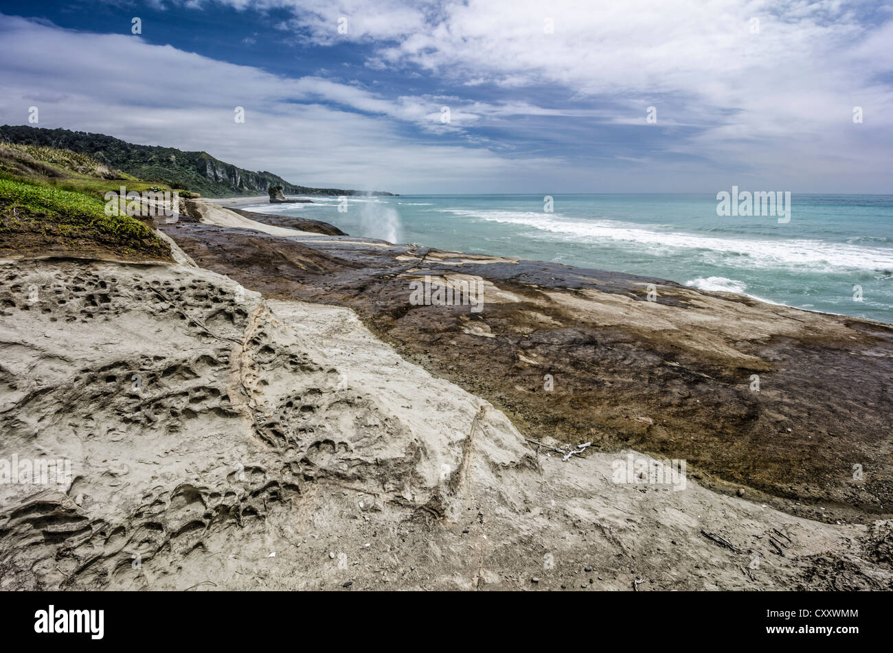 Formations de calcaire et d'un évent, Truman, côte ouest de la baie, île du Sud, Nouvelle-Zélande, Océanie Banque D'Images