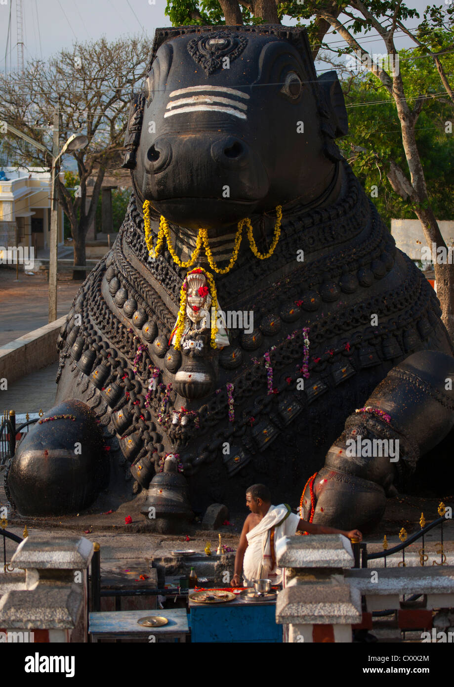 Nandi Bull Sculpture géante, à mi-chemin du haut de Chamundi Hills, Mysore, Inde Banque D'Images