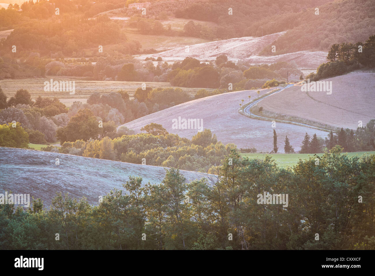 Paysage vallonné avec des routes de campagne au crépuscule, Villamagna, Toscane, Italie, Europe Banque D'Images