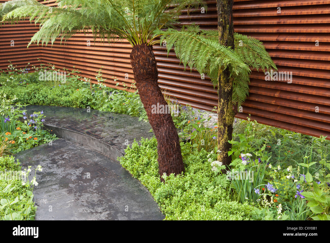 Fougères d'arbre Dicksonia Antarctica à la frontière verte avec clôture de jardin en acier corten pavage en pierre grise Chelsea fleur montrer jardins 2012 Londres Royaume-Uni Banque D'Images