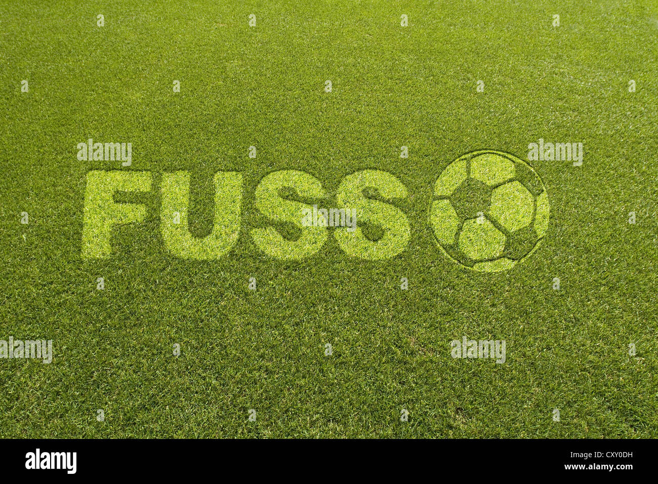 De l'herbe avec le lettrage FUSS, Allemand pour pied, à côté d'un modèle de football, la composition Banque D'Images