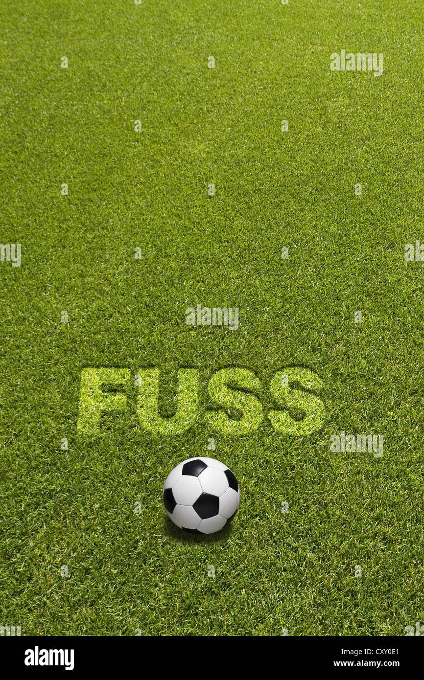 Le football sur herbe ci-dessous le texte d'histoires, Allemand pour pied, la rédaction d Banque D'Images