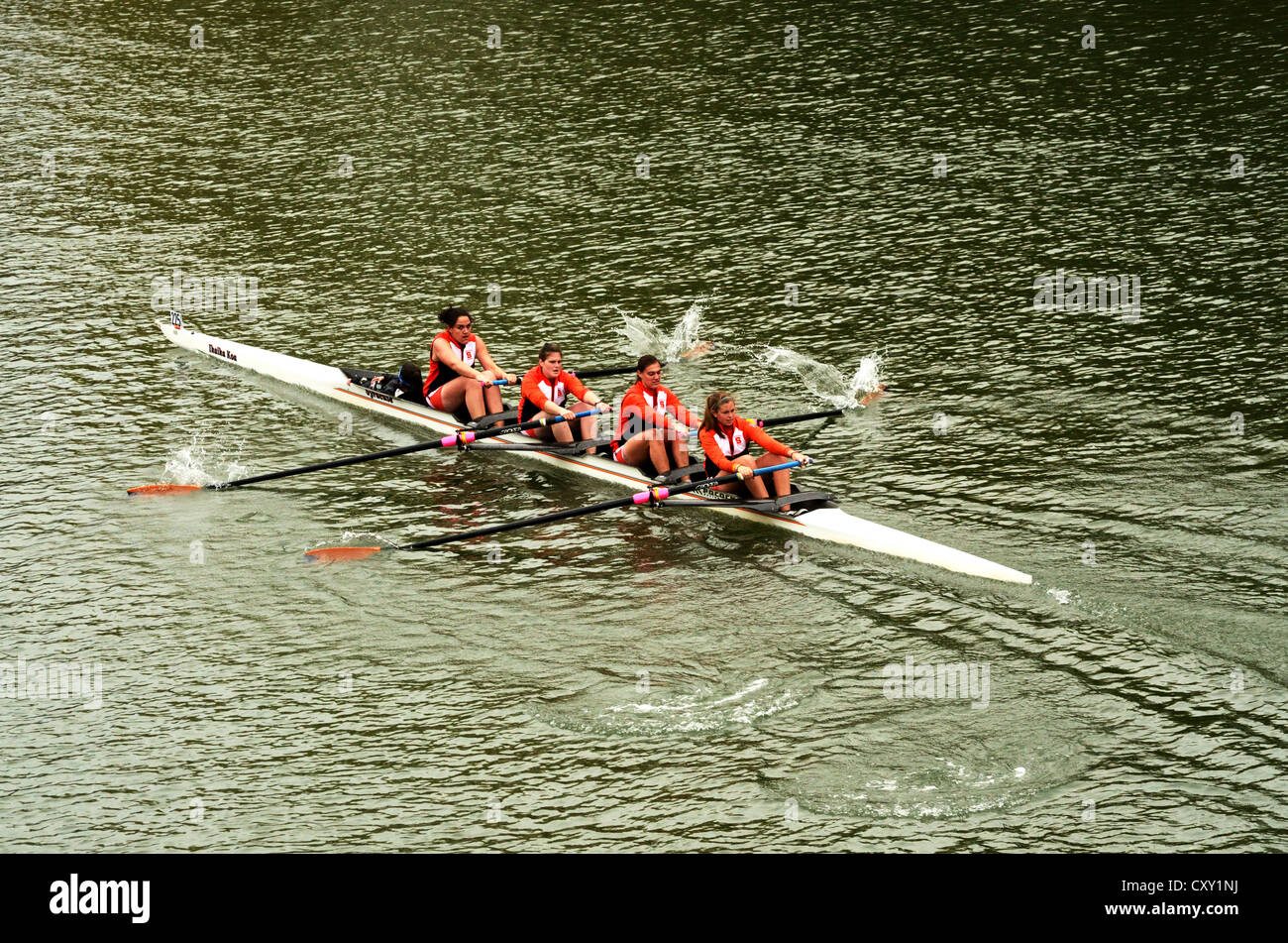 Quatre femmes dans l'équipe d'aviron bateau aviron de compétition dans l'université de la race. Banque D'Images