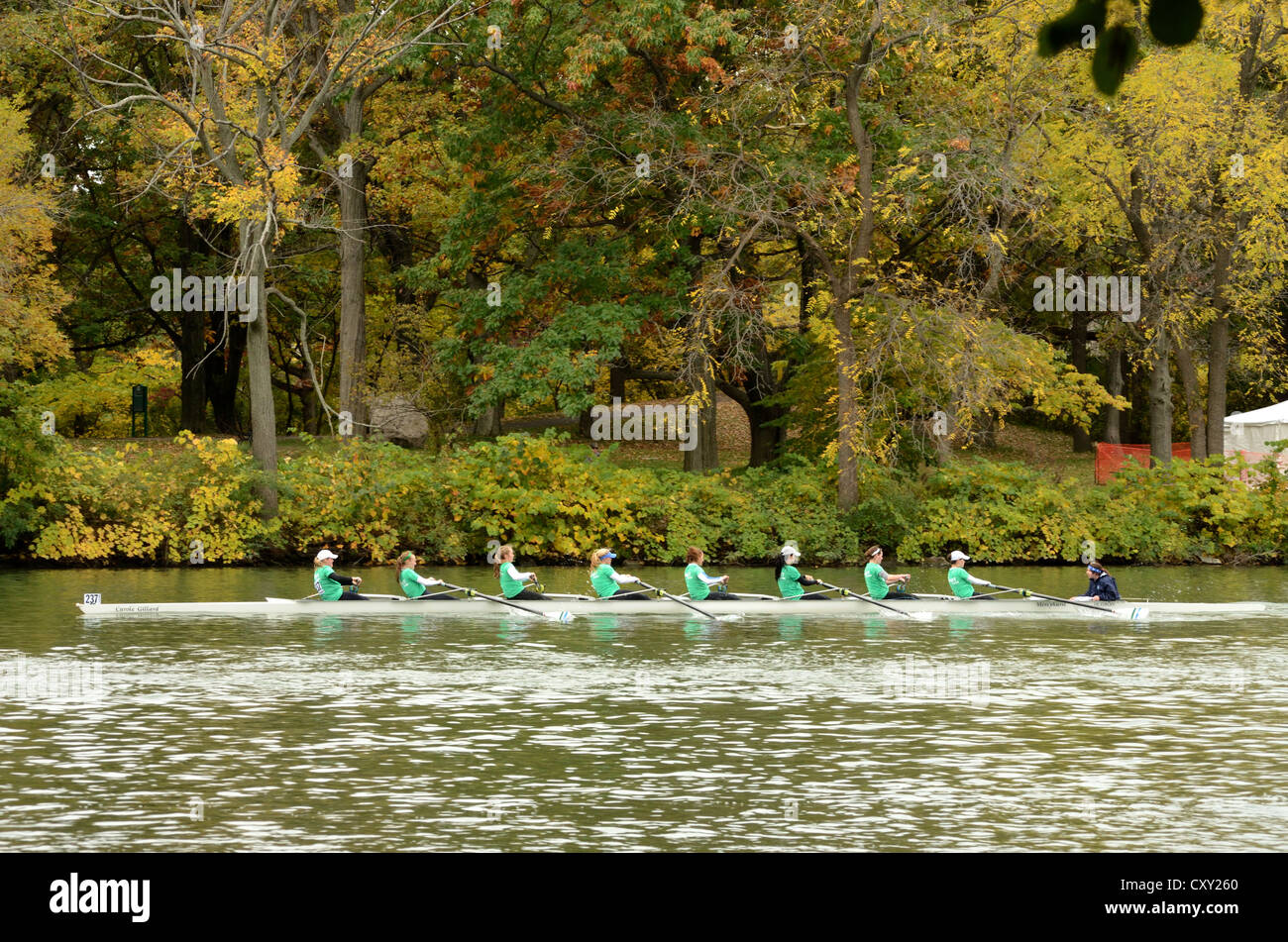 L'équipe d'aviron de la concurrence dans des régates. Banque D'Images