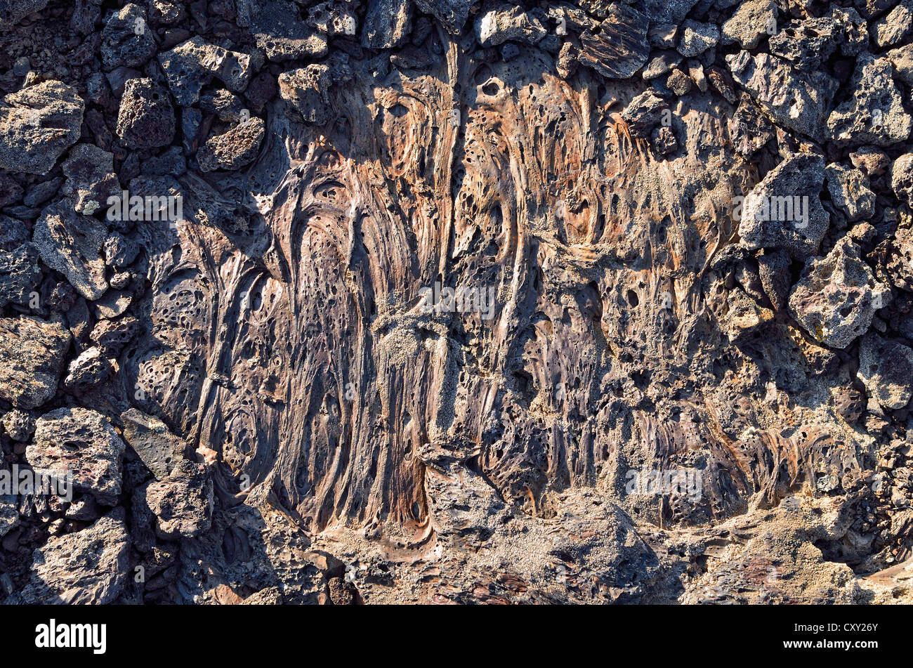 Correctifs de lave solidifiée entre les projections de roches volcaniques, cônes, cratères de la Lune National Monument, Arco, l'autoroute 20, New York Banque D'Images