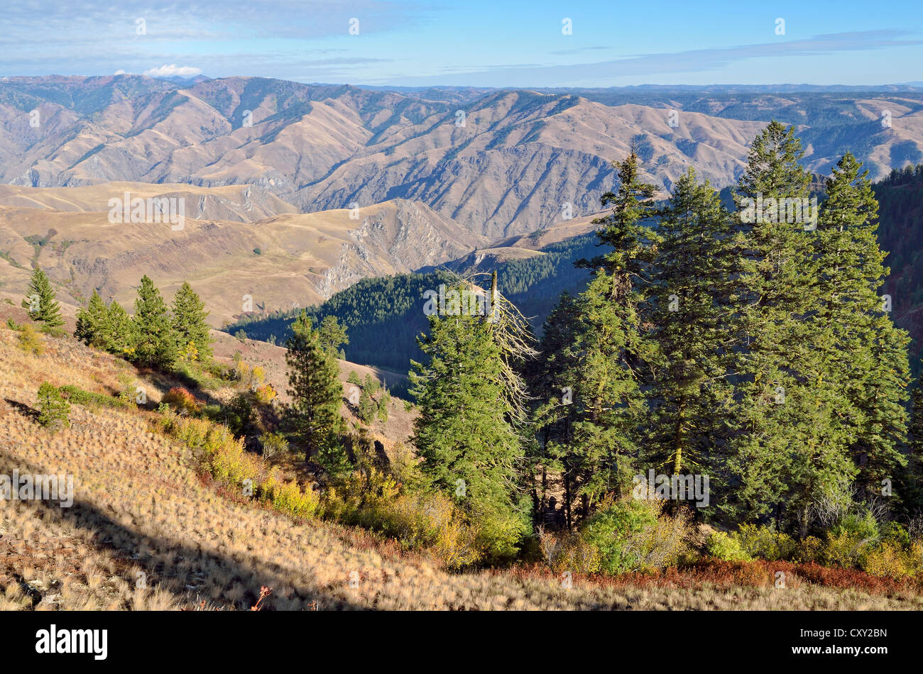 Vue de Hells Canyon Overlook, Oregon, USA Banque D'Images