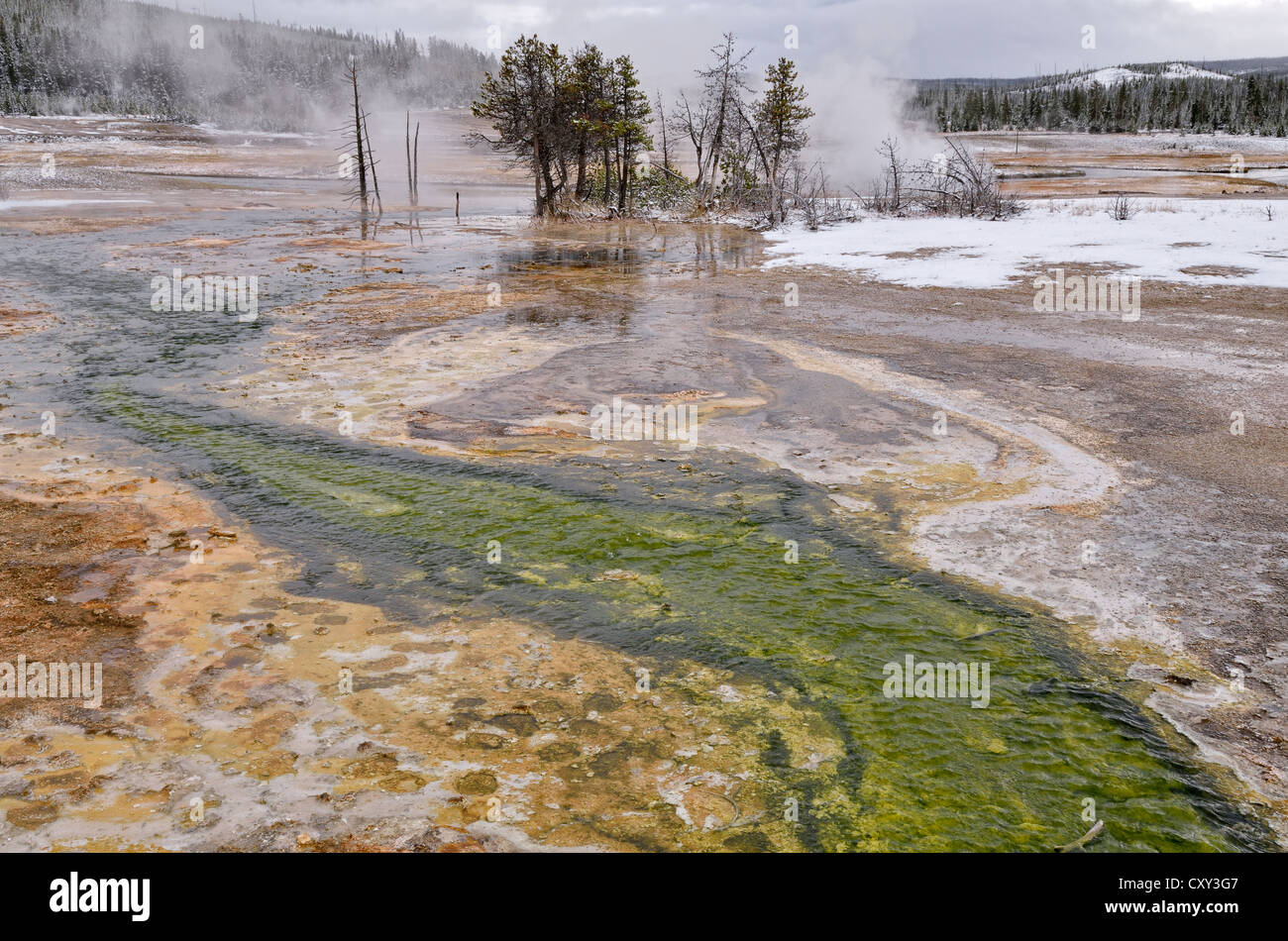 Biscuit Basin, Parc National de Yellowstone, Wyoming, USA Banque D'Images