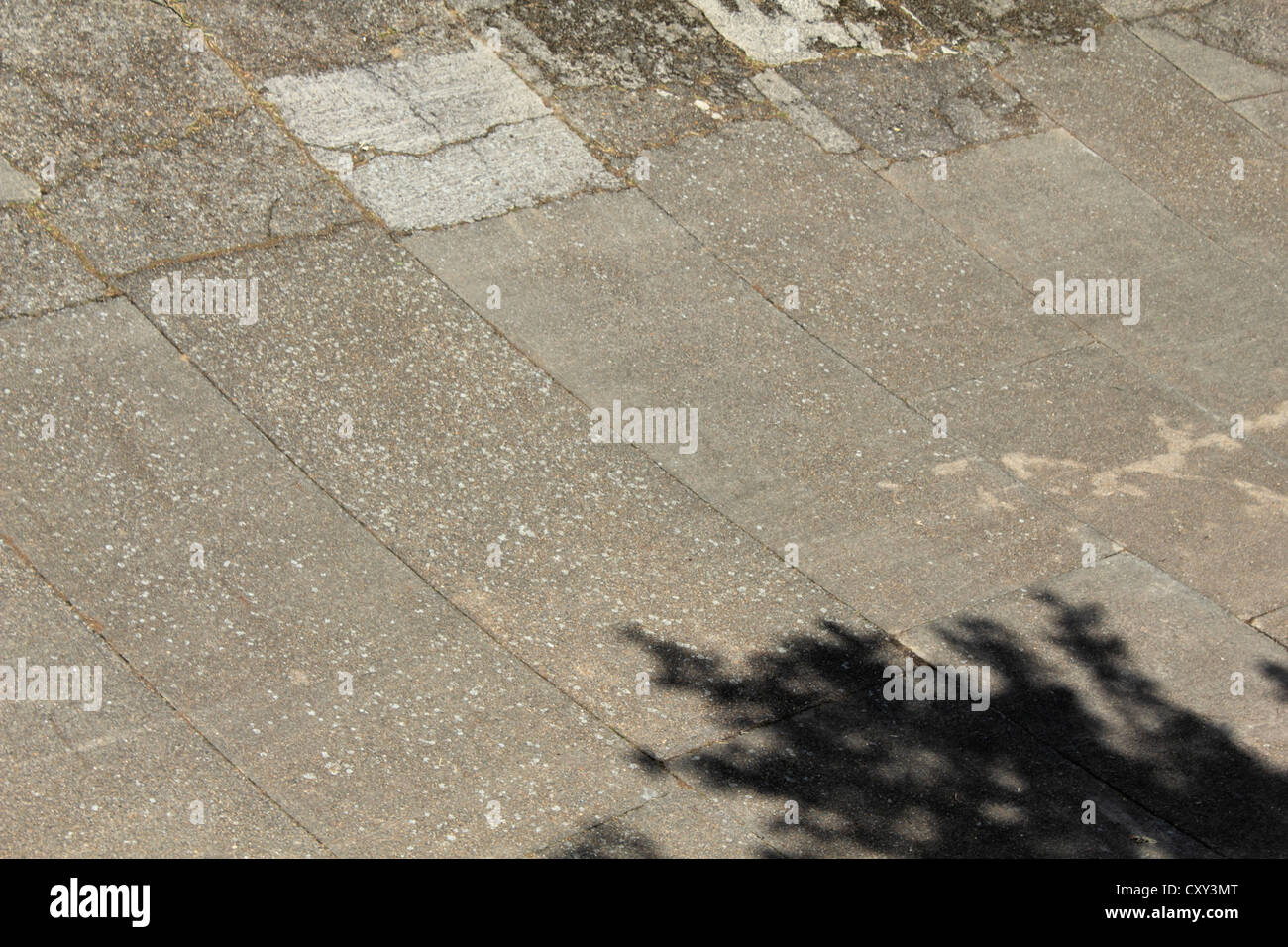 Piste de course de Brooklands Weybridge, Surrey England UK Banque D'Images