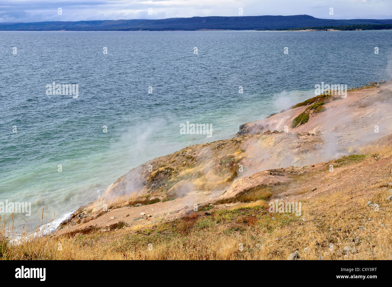 Zone thermale, Steamboat Point, le Lac Yellowstone, le Parc National de Yellowstone, Wyoming, USA Banque D'Images