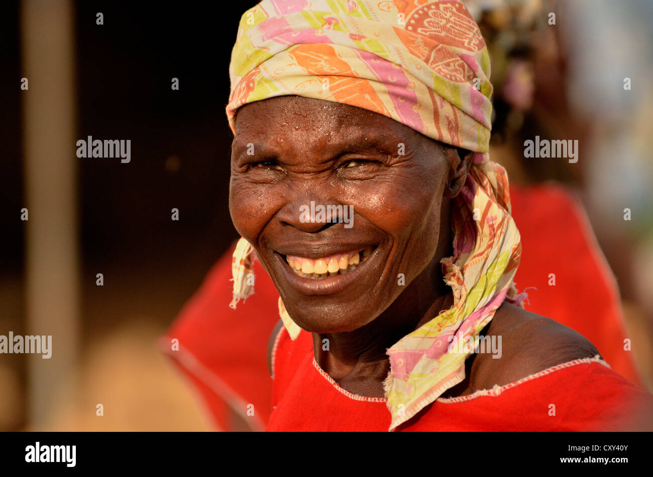 L'une des 50 femmes de Mogozo Daouka, 98, chef du village d'Oudjilla près de Mora, Cameroun, Afrique centrale, Afrique Banque D'Images