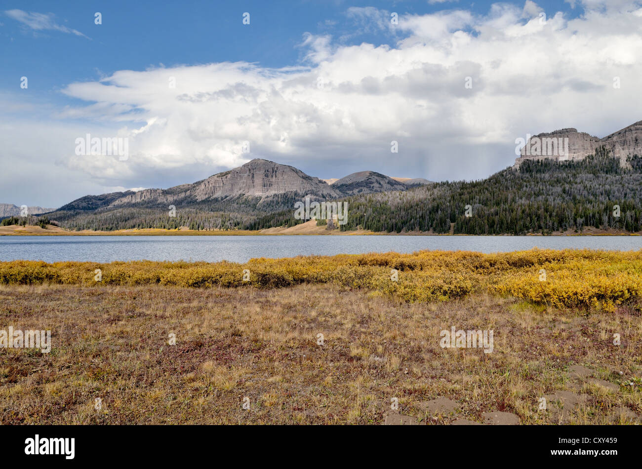 Brooks Lake, Shoshone Wilderness Area, Wyoming, USA Banque D'Images