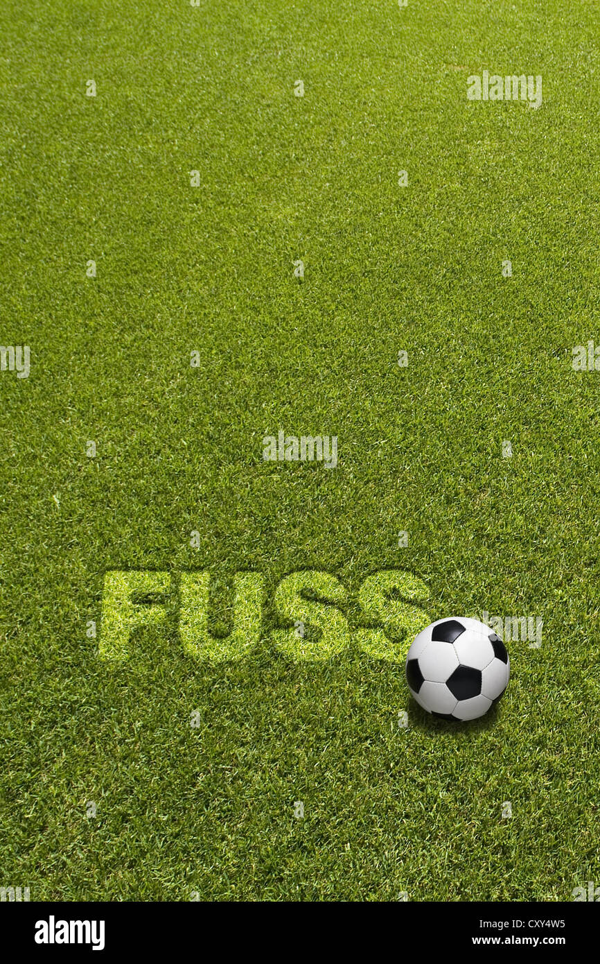 Le football sur herbe ci-dessous le texte d'histoires, Allemand pour pied, la rédaction d Banque D'Images