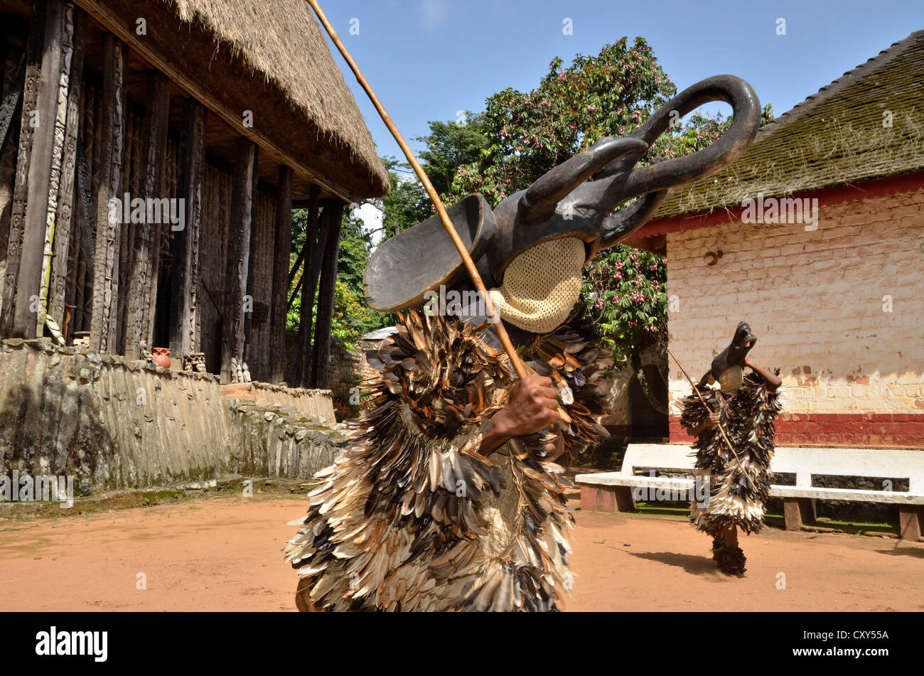 La danse traditionnelle au palais de l'un des, Bafut royaumes traditionnels du Cameroun, près de Bamenda, au nord ouest du Cameroun Banque D'Images