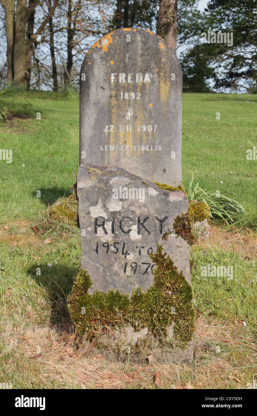 Tombes dans un cimetière pour animaux dans l'enceinte de Tortworth Court Hotel, South Gloucestershire, Royaume-Uni. Banque D'Images