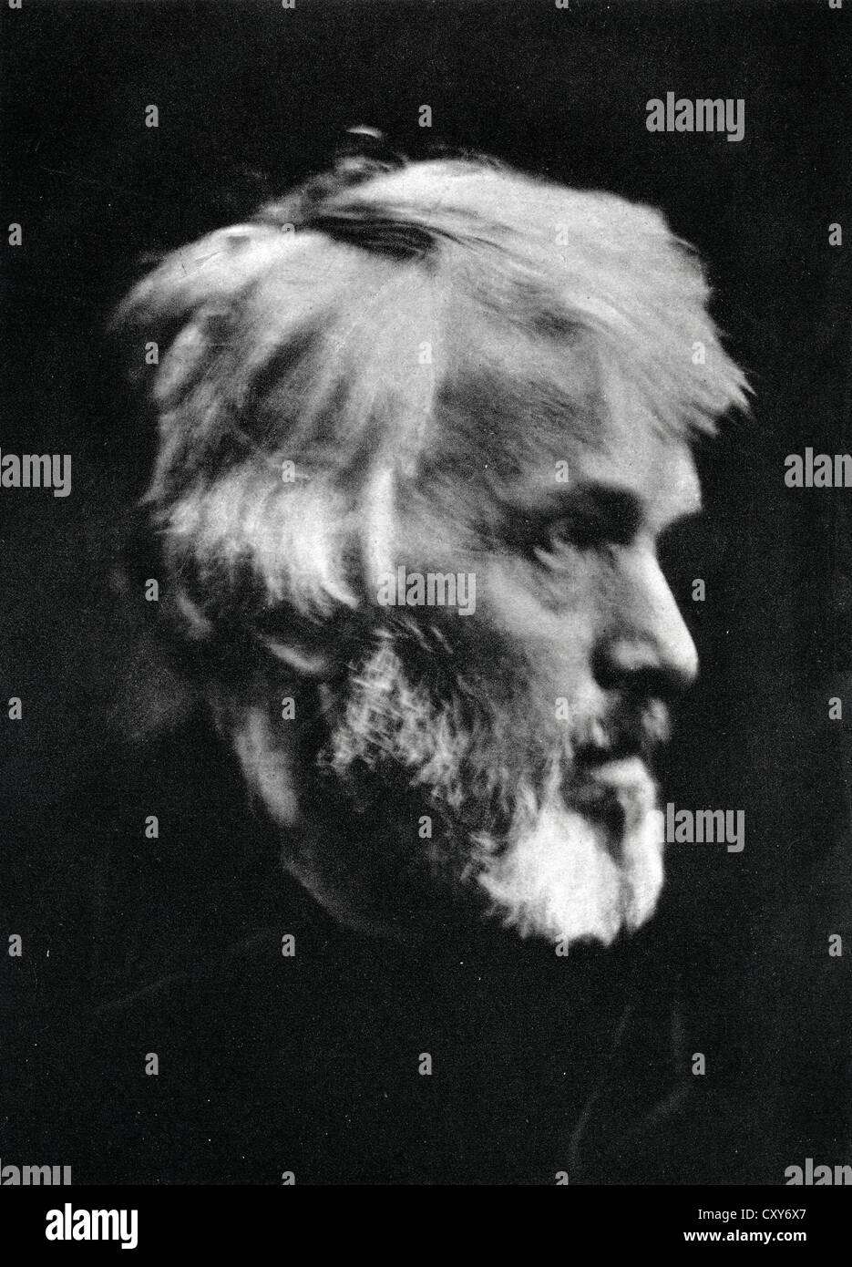 Thomas Carlyle, en 1867 par Julia Margaret Cameron Banque D'Images