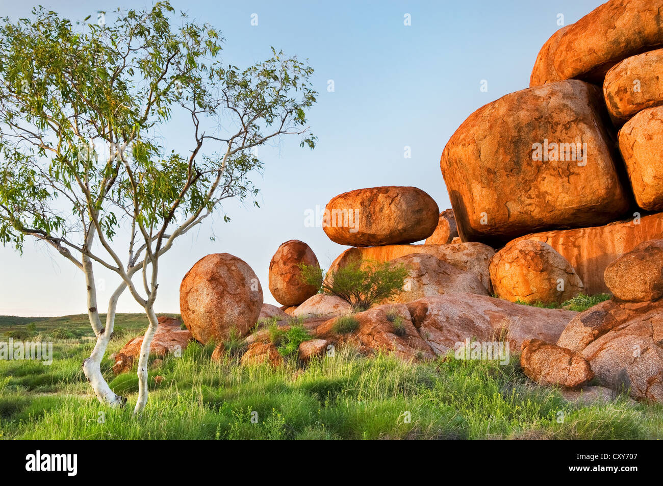 Rochers en forme d'œufs des Devils Marbles. Banque D'Images