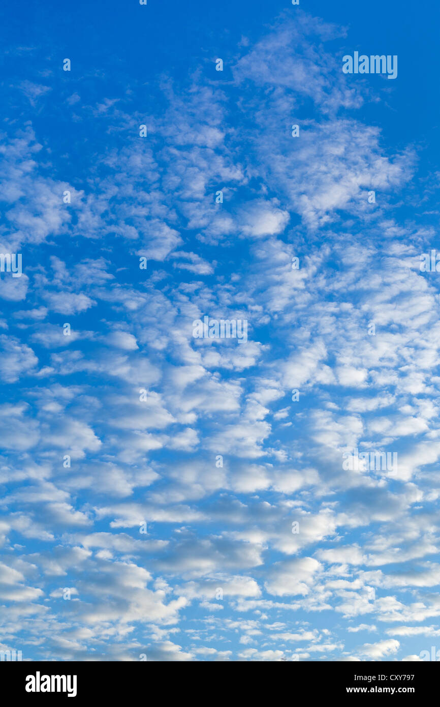 De nombreux cumulus blanc en bleu ciel du matin Banque D'Images