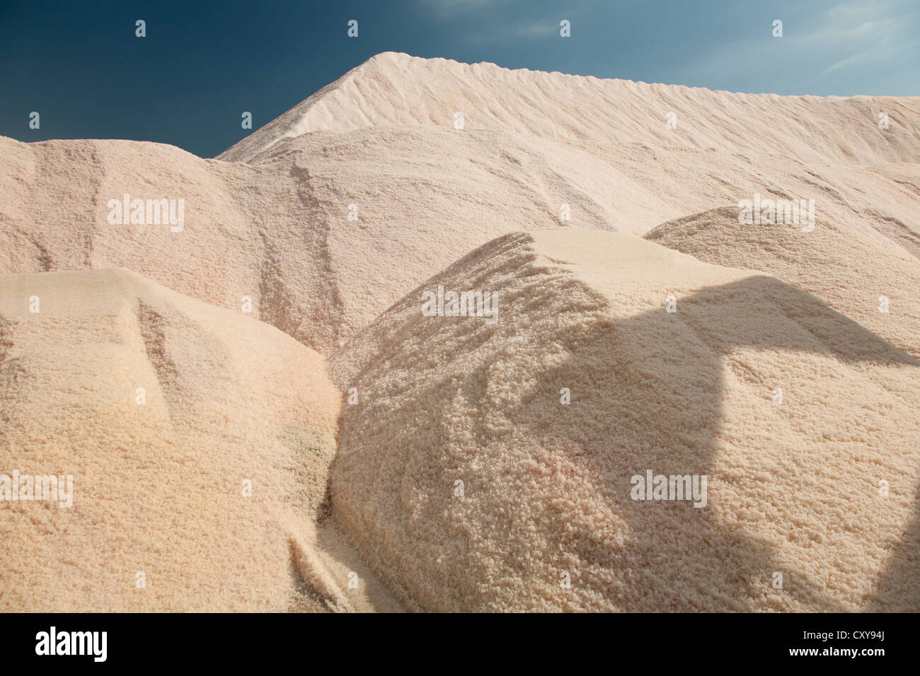 Avis de Salinas de la Trinitat, San Carlos de la Rapita, Delta del Ebro, Tarragona Banque D'Images