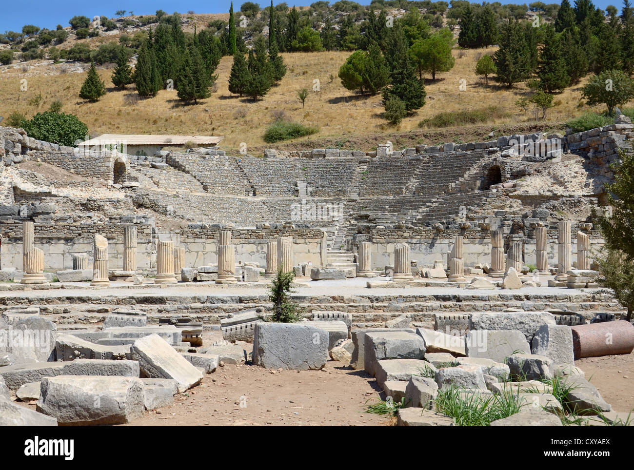 Ruines de l'antique odéon (petit théâtre) à Ephèse. La Turquie. Banque D'Images