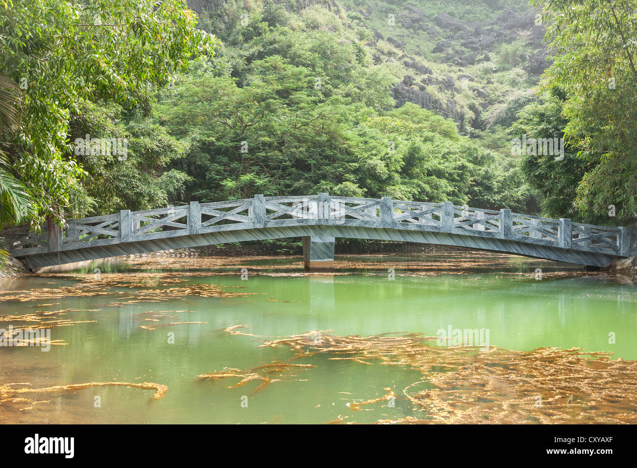 Bridge à Hang Mua Zone touristique Banque D'Images